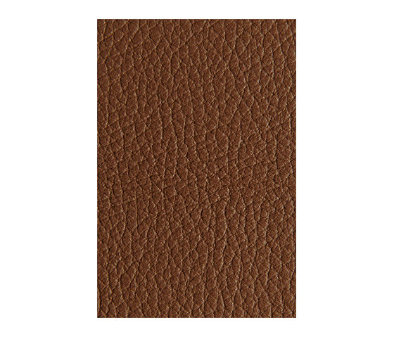 L1040422 | Natural leather | Schauenburg
