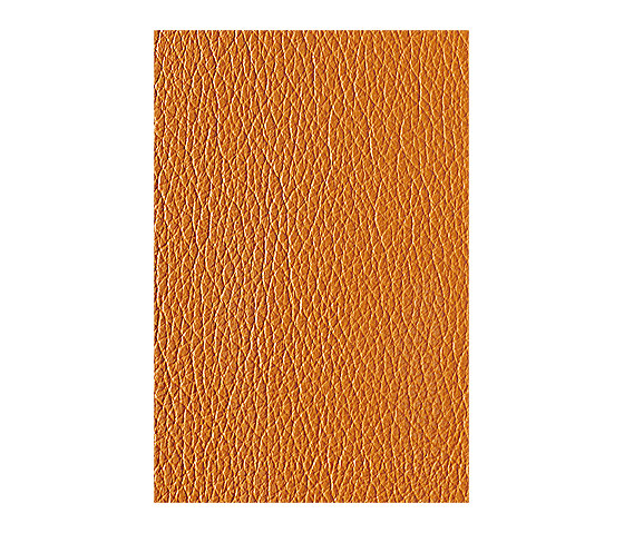 L1040427 | Natural leather | Schauenburg