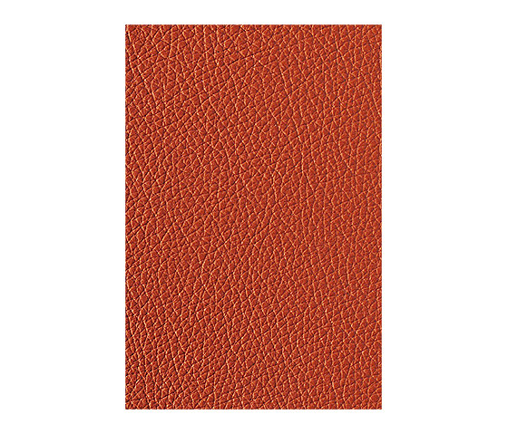 L1040429 | Natural leather | Schauenburg