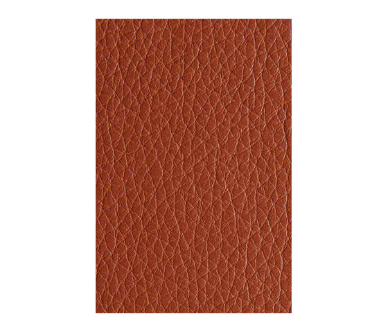L1040430 | Natural leather | Schauenburg