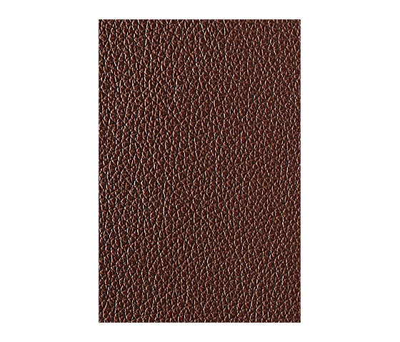 L1040431 | Natural leather | Schauenburg