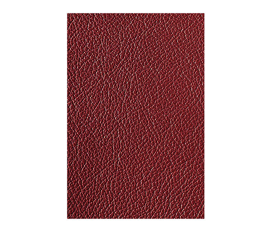 L1040434 | Natural leather | Schauenburg