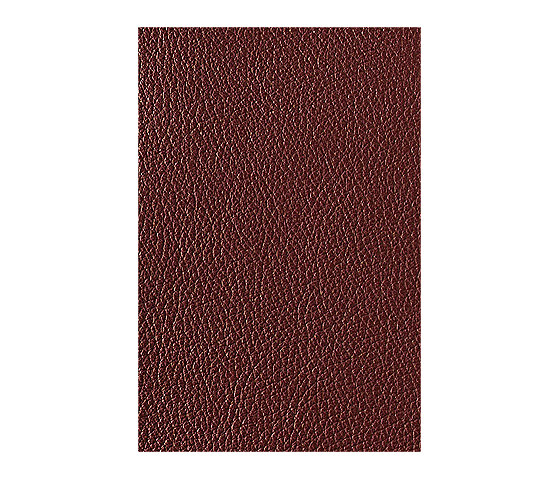 L1040437 | Natural leather | Schauenburg