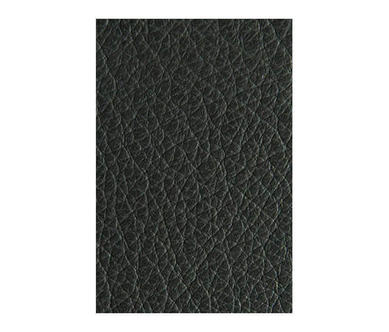 L1040445 | Natural leather | Schauenburg