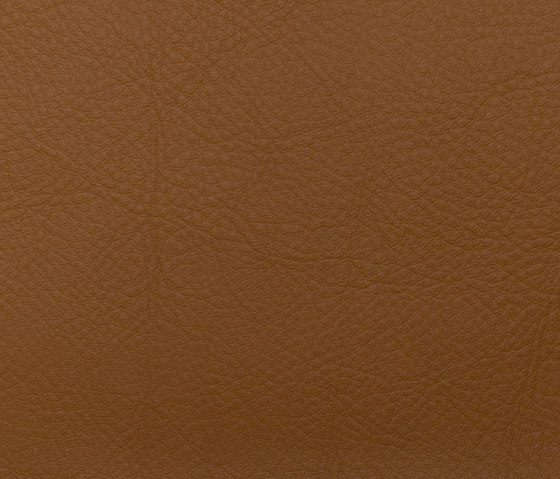 L1050507 | Natural leather | Schauenburg