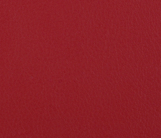 L1050509 | Natural leather | Schauenburg