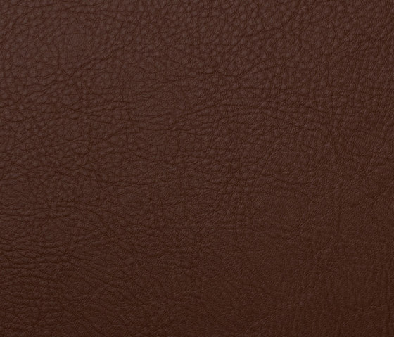 L1050511 | Natural leather | Schauenburg