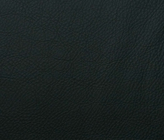 L1050521 | Natural leather | Schauenburg