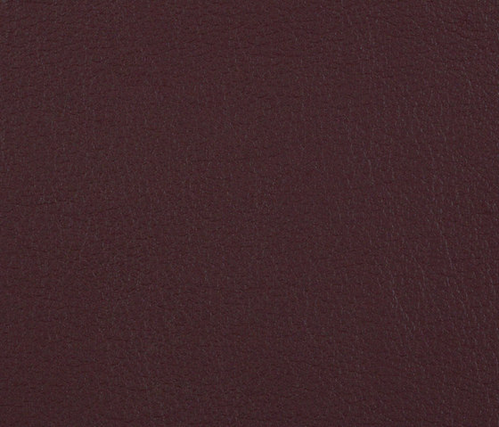 L1060608 | Natural leather | Schauenburg