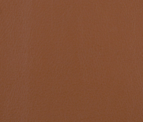 L1060613 | Natural leather | Schauenburg