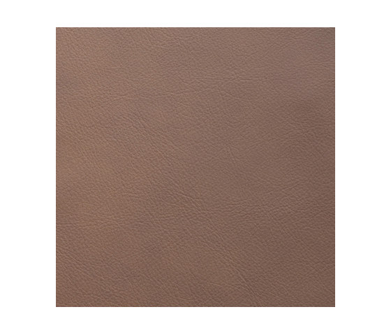 L1060615 | Natural leather | Schauenburg