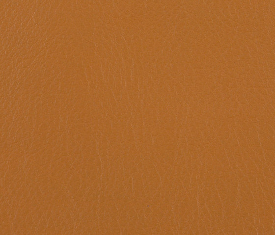L1060618 | Natural leather | Schauenburg