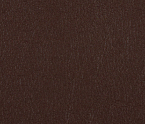 L1060621 | Natural leather | Schauenburg