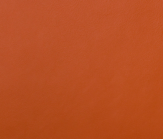 L1060624 | Natural leather | Schauenburg