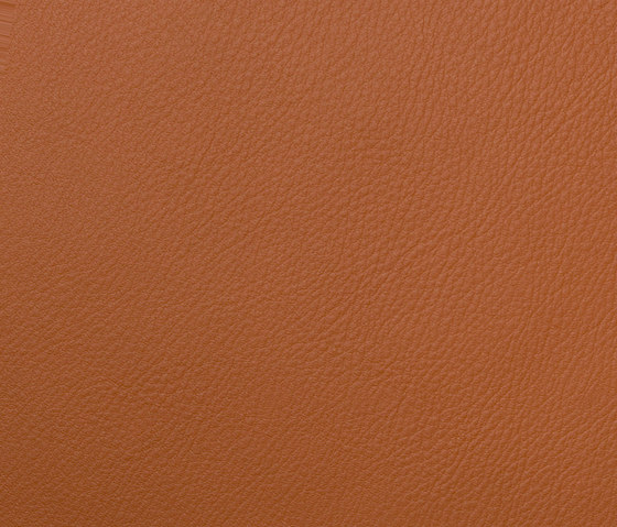 L1060625 | Natural leather | Schauenburg