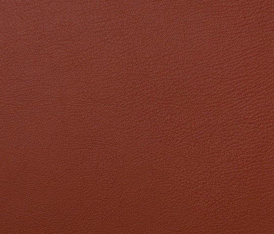 L1060627 | Natural leather | Schauenburg