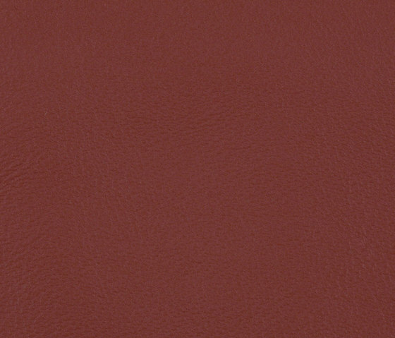 L1060628 | Natural leather | Schauenburg