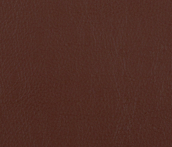 L1060629 | Natural leather | Schauenburg