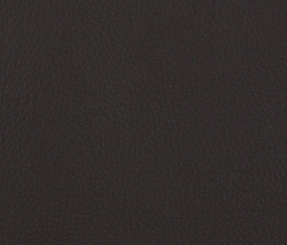 L1060630 | Natural leather | Schauenburg