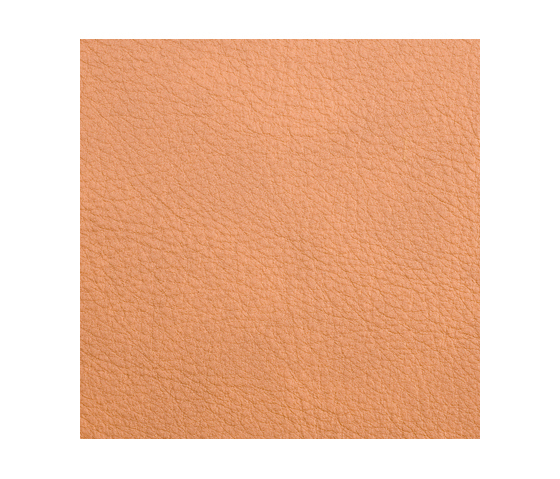 L1060631 | Natural leather | Schauenburg