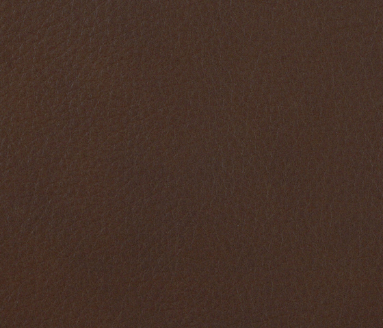 L1060641 | Natural leather | Schauenburg