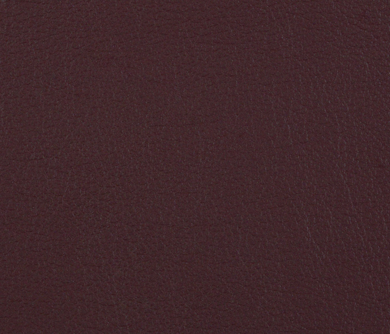 L1060650 | Natural leather | Schauenburg