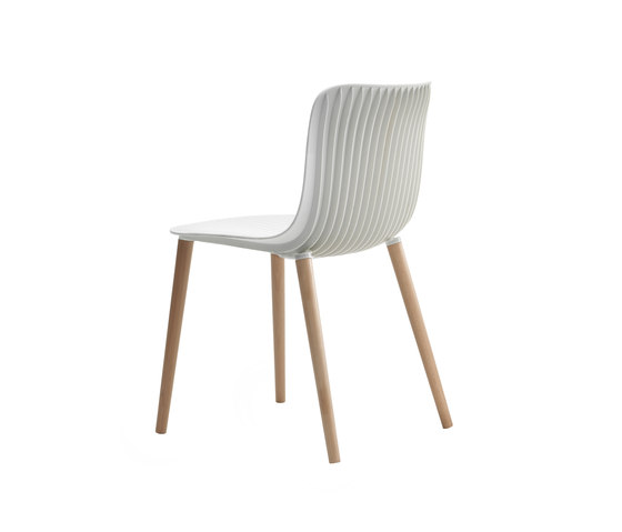 Dragonfly | Chair - wooden legs | Sedie | Segis