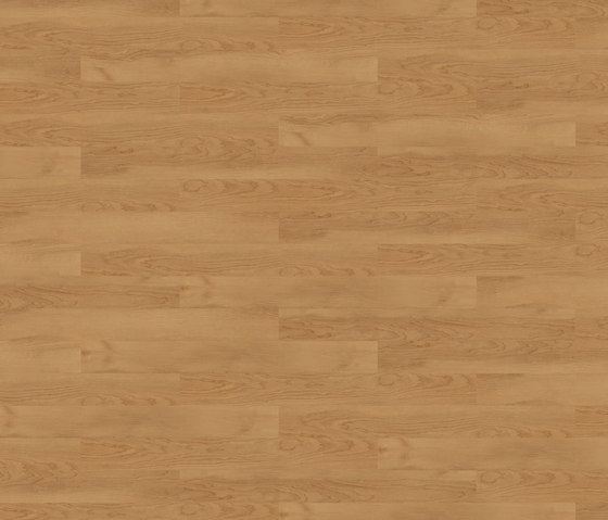 Expona Domestic - Maple Calvados | Synthetic panels | objectflor