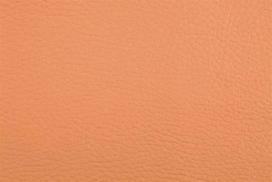 K304200 | Faux leather | Schauenburg