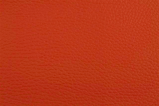 K304225 | Faux leather | Schauenburg