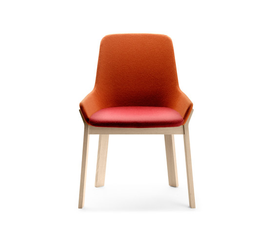 Koila Chair | Sedie | Alki