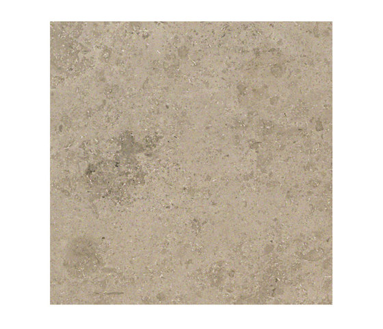 Ever&Stone grey | Ceramic tiles | Ceramiche Supergres