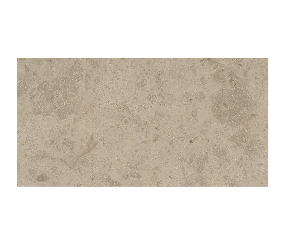 Ever&Stone grey | Ceramic tiles | Ceramiche Supergres