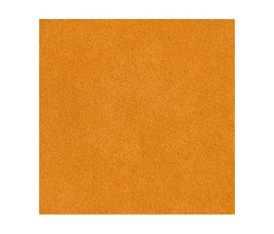 M20101021 | Upholstery fabrics | Schauenburg