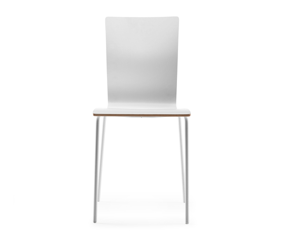 Dane Chair | Stühle | ONDARRETA