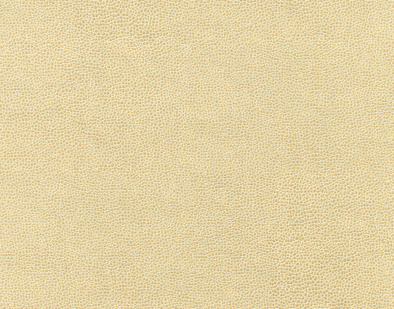 Buckaroo 8103 01 Iced Milk | Cuero artificial | Anzea Textiles