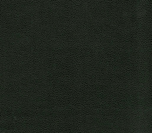Buckaroo | Going Green | Faux leather | Anzea Textiles