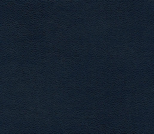 Buckaroo | Blue Book | Cuir artificiel | Anzea Textiles