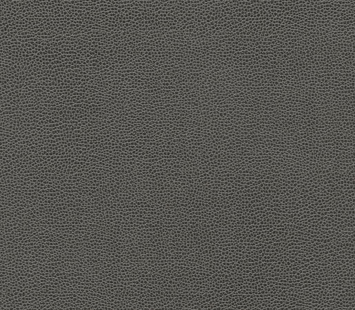 Buckaroo | Gray Wolf | Faux leather | Anzea Textiles