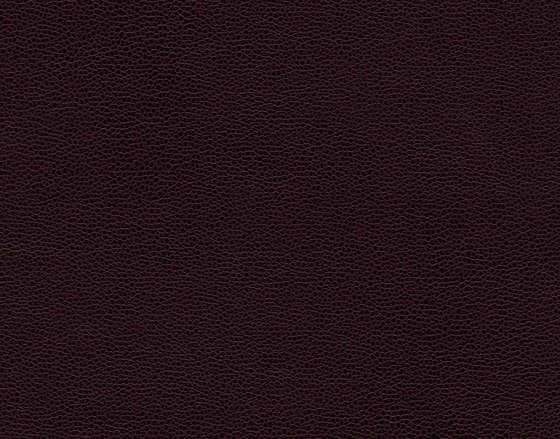 Buckaroo 8103 08 Muscatel | Finta pelle | Anzea Textiles