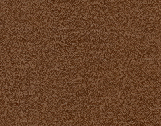 Buckaroo 8103 09 Peanut Bar | Cuir artificiel | Anzea Textiles