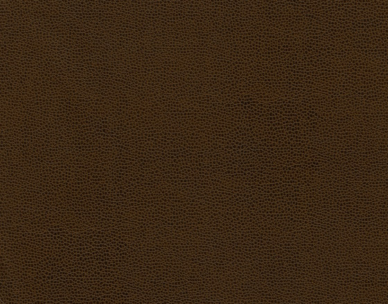 Buckaroo 8103 10 Chestnut Shell | Faux leather | Anzea Textiles