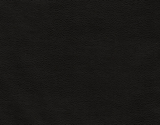 Buckaroo 8103 11 Out Black | Faux leather | Anzea Textiles