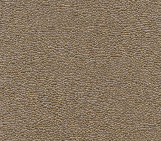 Bull's Eye | Mud Road | Faux leather | Anzea Textiles