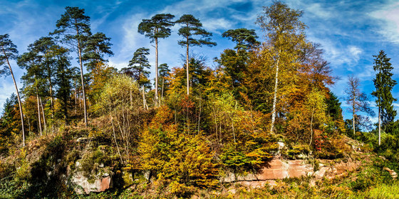 Landschaft | Herbstlandschaft bei Bellheim in Rheinland-Pfalz | Kunststoff Folien | wallunica