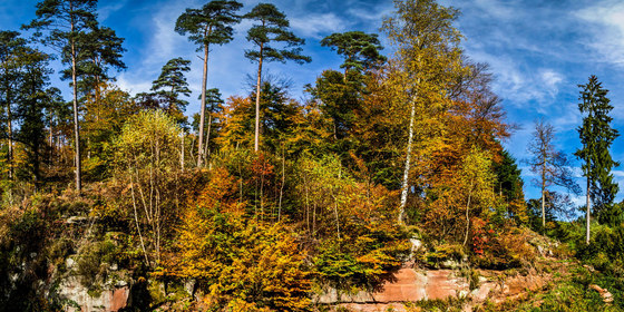 Landschaft | Herbstlandschaft bei Bellheim in Rheinland-Pfalz | Holz Platten | wallunica