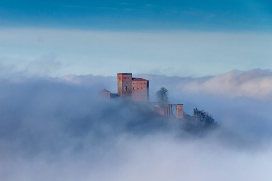 Paysage | Château Trifels dans la brume du matin | Panneaux de bois | wallunica