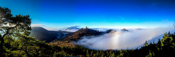 Landscape | Trifels castle in the morning mist | Fogli di plastica | wallunica