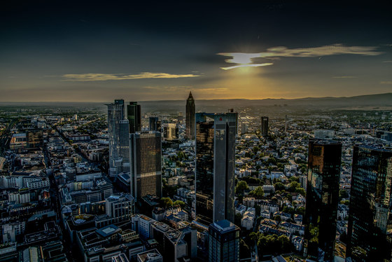 Frankfurt | The skyline of Frankfurt am Main in the evening | Wood panels | wallunica