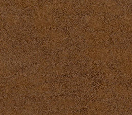 Mammoth Deception | Bronzed Bag | Faux leather | Anzea Textiles